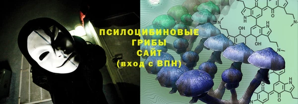 винт Богданович