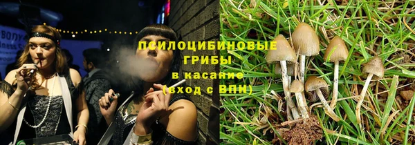 винт Богданович