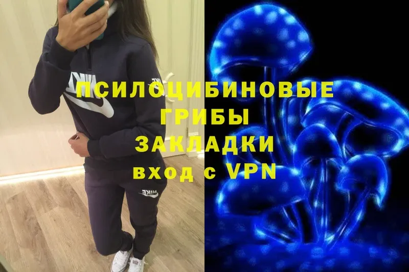 hydra tor  Уржум  Галлюциногенные грибы Psilocybe 